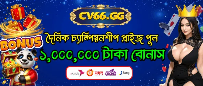VIP প্রোগ্রাম