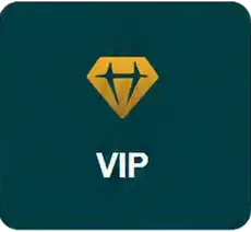 vip icon